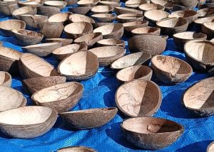 Coconut Shell Oval Ice Cream Cup