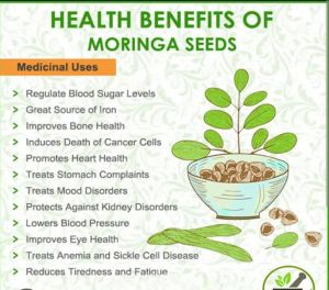 moringa leaves powder