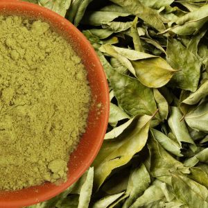Dry Curry Leaves Powder
