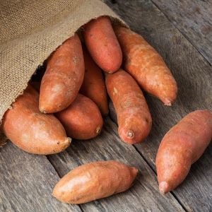 Organic Fresh Sweet Potato, Color : Brown