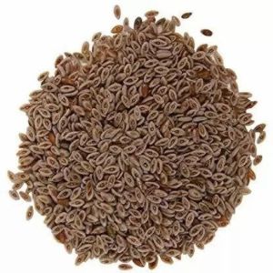 Light Brown Pure Isabgol Seeds, Packaging Type : Paper Bag