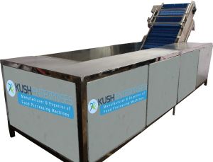 Leafy Vegetable Washer Machine, Color : Metallic for Industrial