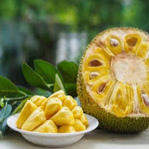 Jackfruit Pulp