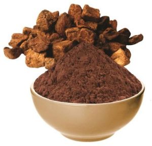 Spray Dried Chicory Powder