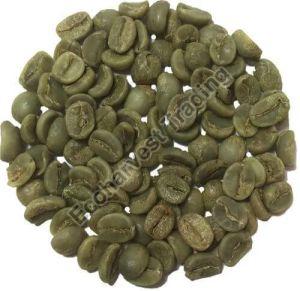 Arabica Green Coffee Beans, Packaging Size : 1kg