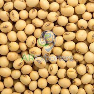 Fresh Soyabean Seed