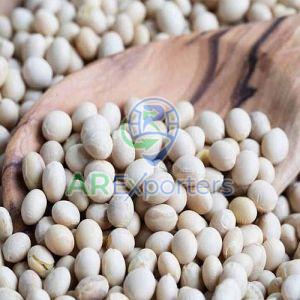 White Soybean Pulse