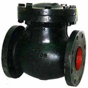 Cast Iron Non Return Valve 50 Mm for Water
