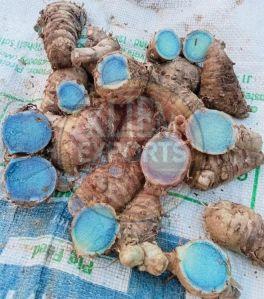 Black Turmeric Finger
