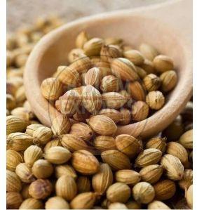 Coriander Seeds