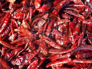 Dried Red Chilli
