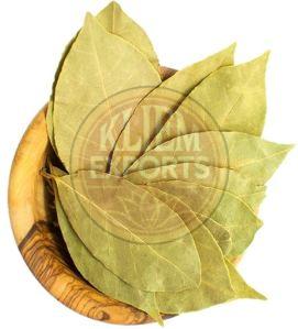 Dry Tejpatta Leaves