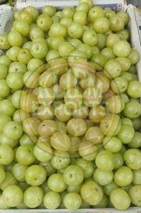 Fresh Gooseberry