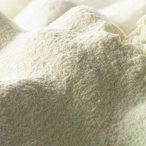 Spray Dried White Donkey Milk Powder, Packaging Type : Plastic Bag