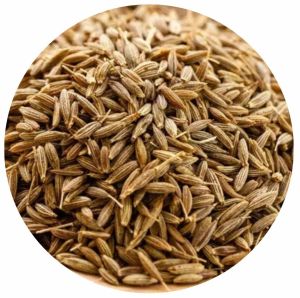 Brown Natural Singapore Quality Cumin Seeds Low