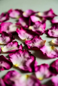 Natural Dry Rose Petals for Potpourri, Decoration, Tea