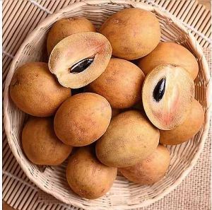 A Grade Fresh Chikoo
