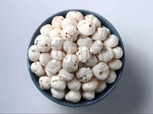 6 Suta Plus Makhana