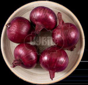 A Grade Fresh Garwa Onion