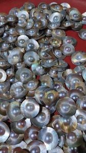 Row Mabe Pearl Stone, Color : White