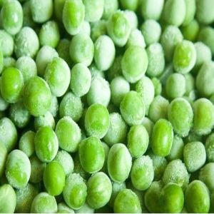 Frozen Green Peas for Cooking, Shelf Life : 7-10days