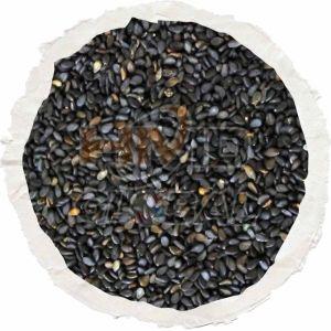 Medium Black Sesame Seed
