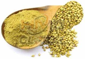 Natural Green Premium Coriander Powder
