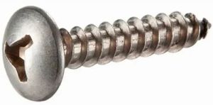 Polished Stainless Steel Tri Wing Screw for Security Fastening