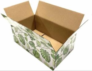 3 Ply Printed Stationery Corrugated Box