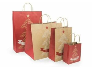Festive Printed Paper Gift Bag