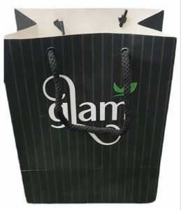 Matte Finish Printed Paper Carry Bag