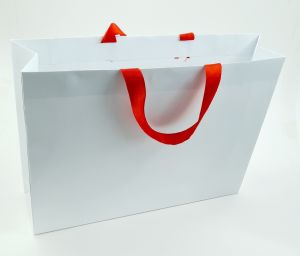 Paper Bag with Ribbon Handle