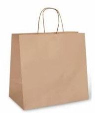 Plain Paper Bag with Twisted Handle