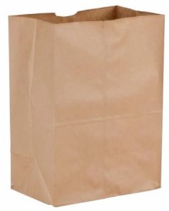 Recycled Brown Paper Grocery Bag