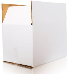White Corrugated Carton Box