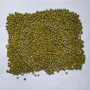 Organic Whole Green Moong Dal for Cooking