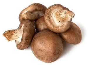 Shiitake Mushroom, Color : Brown, Packaging Type : Plastic Bag