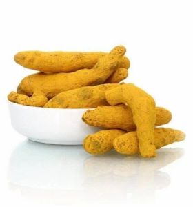 Dried Organic Turmeric Finger for Cooking, Seasoning, Health Benefits