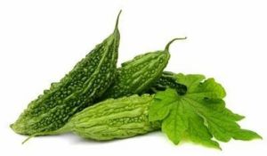 Fesh Green Bitter Gourd, Packaging Type : Plastic Pack, Mesh Bag
