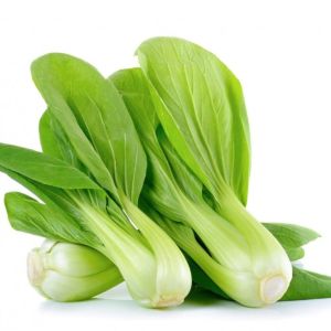 Green With White Stems Naturally Grown Fresh Bok Choy Leaves