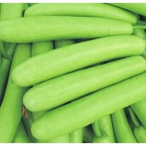 Light Green Fresh Bottle Gourd Crate for Juice, Cooking
