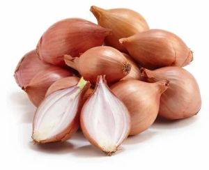 Fresh Shallots Onion, Packaging Type : Mesh Bag Or Crate