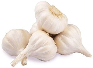 Fresh White Garlic Bulb, Packaging Type : Mesh Bag for Cooking