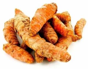 Organic Fresh Turmeric Finger