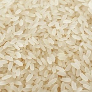 Short Grain Raw Rice, Color : White, Packaging Type : PP Bag