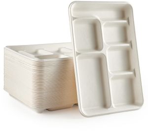 Disposable Bagasse Compartment Plate, Color : Natural