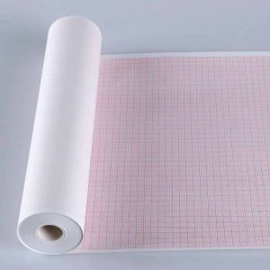 ECG Paper Roll, Brand Name : Empiric, Packaging Type : Box
