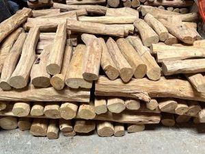 White Sandalwood Logs