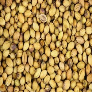 Brown Organic Coriander Seeds, Seed Type : Natural Food Grade
