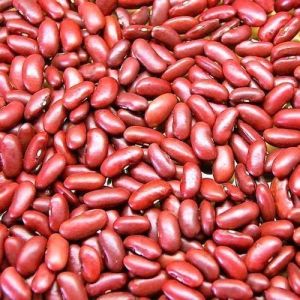 Organic Red Kidney Beans, Speciality : High In Protein, Gluten Free